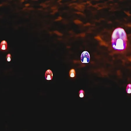 Hisa Posebne Sorte Πανσιόν