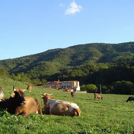 Hisa Posebne Sorte Affittacamere