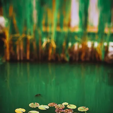 Hisa Posebne Sorte بيت ضيافة