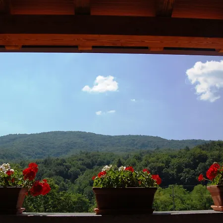 Hisa Posebne Sorte Kodreti