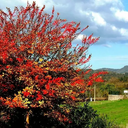 بيت ضيافة Hisa Posebne Sorte 4*