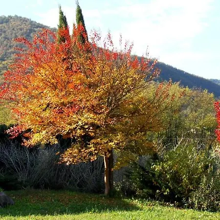 Hisa Posebne Sorte 4* Kodreti