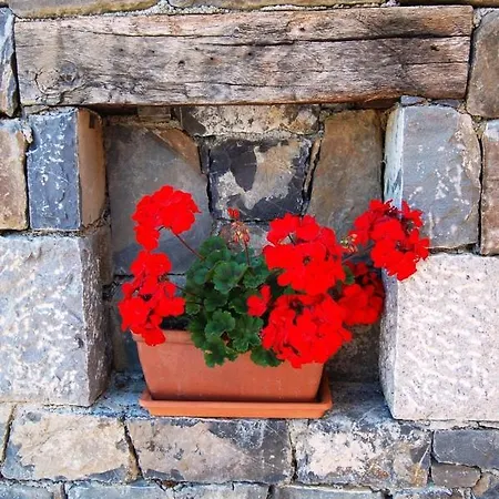 Hisa Posebne Sorte Kodreti