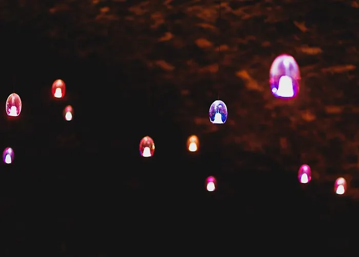 Hisa Posebne Sorte ゲストハウス