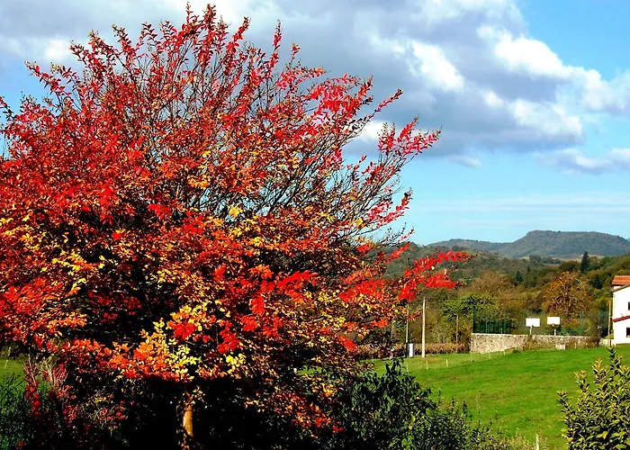 Hisa Posebne Sorte ゲストハウス