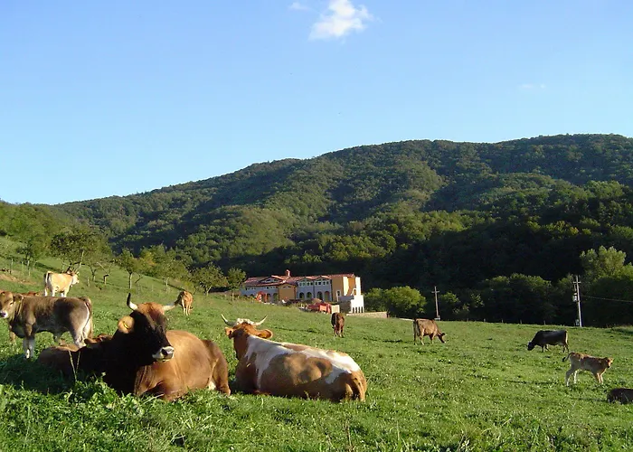 Hisa Posebne Sorte Konukevi