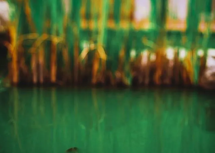 Hisa Posebne Sorte ゲストハウス