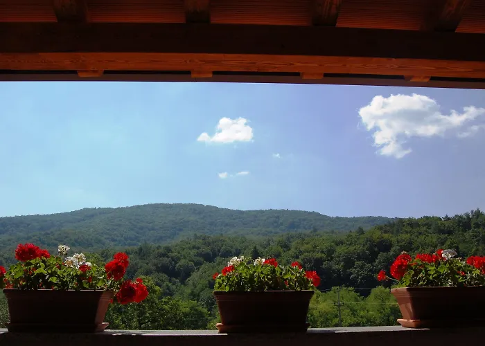 Hisa Posebne Sorte Kodreti