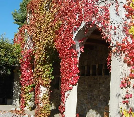 Konukevi Hisa Posebne Sorte