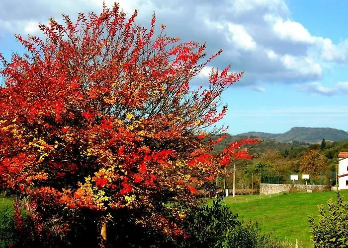 Konukevi Hisa Posebne Sorte 4*