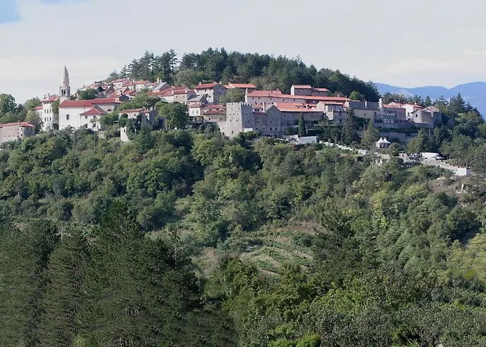 Hisa Posebne Sorte Kodreti