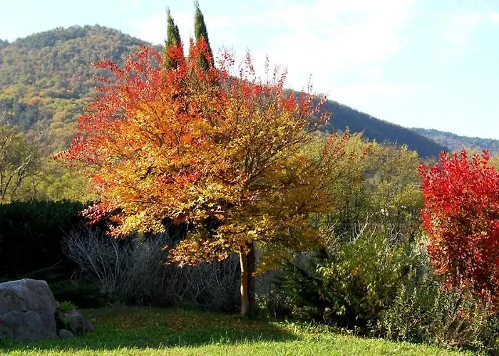 Hisa Posebne Sorte 4* Kodreti