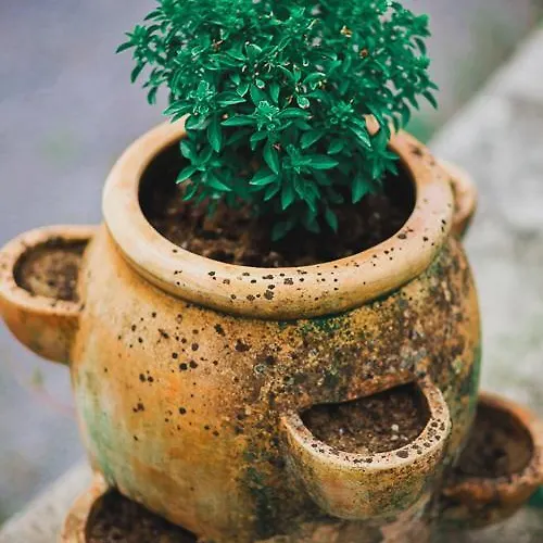 Hisa Posebne Sorte Konukevi 4*