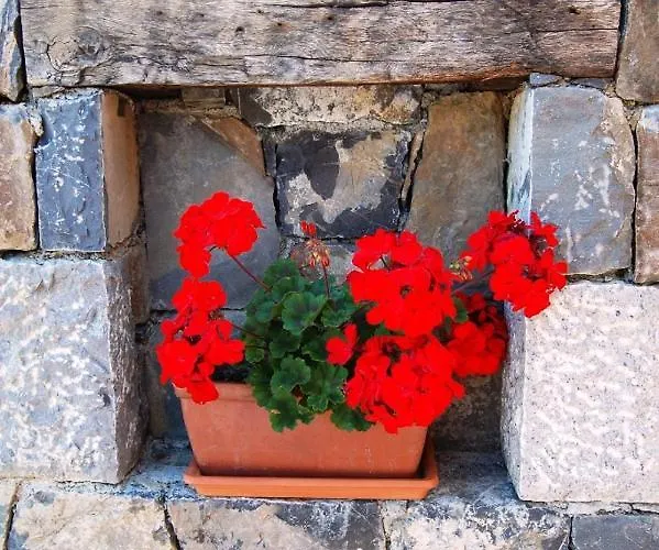 Hisa Posebne Sorte Kodreti